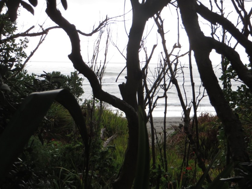 E09A62E7-3596-4D9E-942A-E785161EC2DC