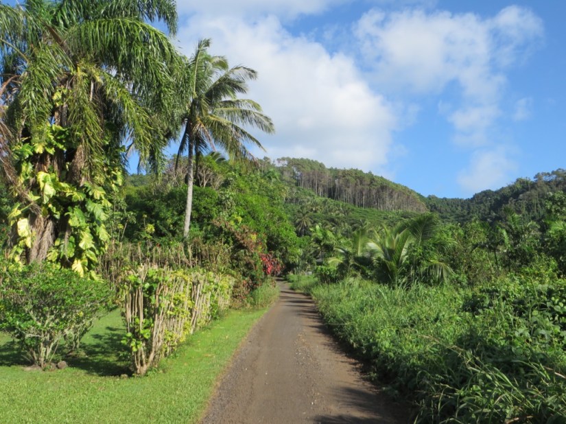 E620E624-8FA2-4864-AE86-4203DCBF9579