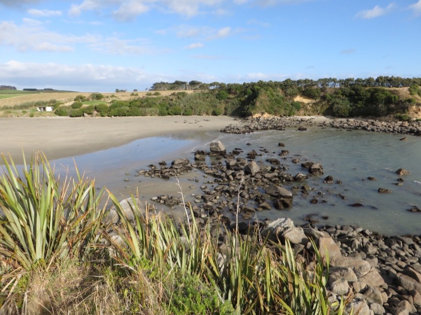 E6F6BF0A-EDC1-4CDD-B4B7-8A766263A304