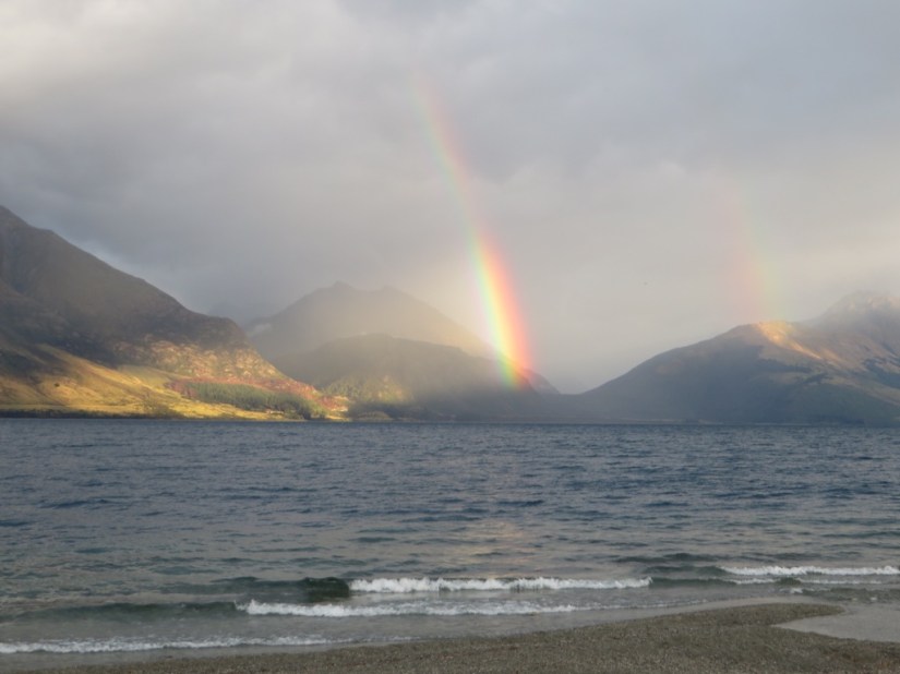 F588D418-CB87-42C1-8535-B7A7D1AB3813