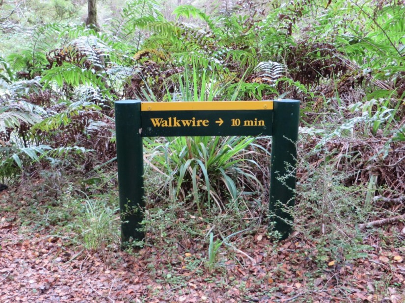 F5E0CE2F-D1BA-44BA-8242-E01884730AC8