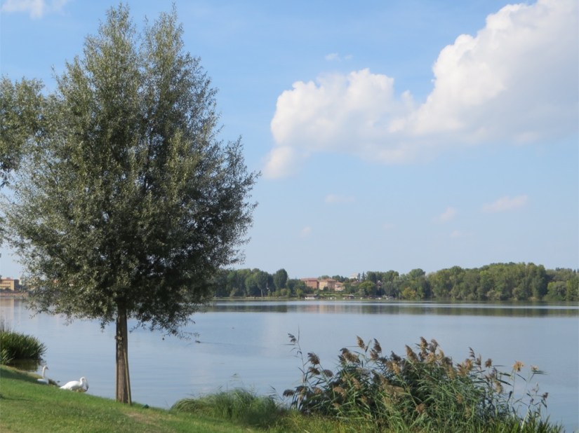 1947CE4F-EF90-45EB-A217-6B7DE02F2EFF