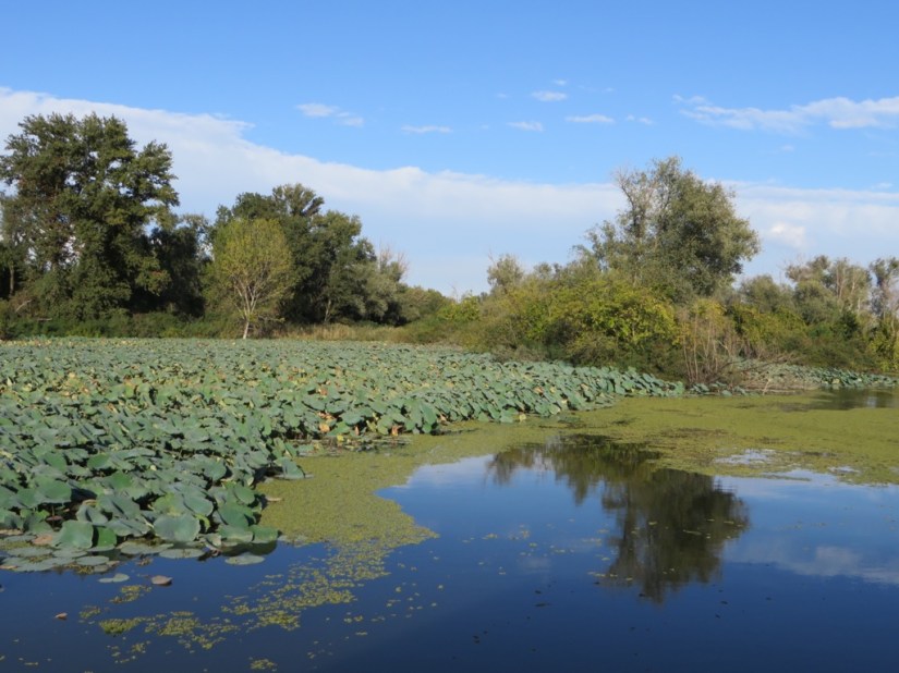 5DA45033-C88A-43F7-8BDA-21A698A41034