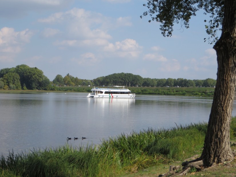 642C94A8-4E21-48FA-93BB-F30EA744FA26