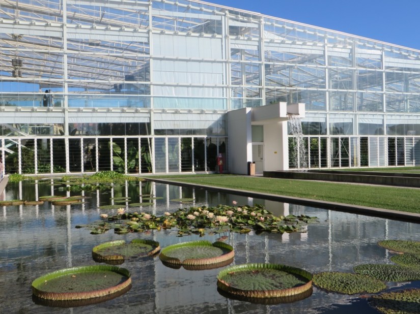 A6FF1891-38EB-4DD3-B74E-14ACB6932DC8