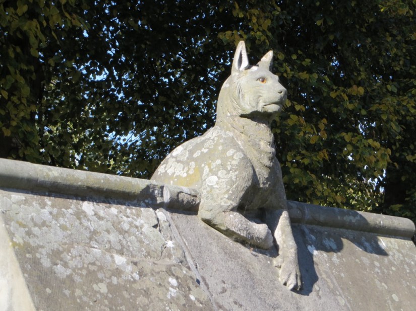 47E72F88-DA13-4678-8041-B6B434FE8C3B