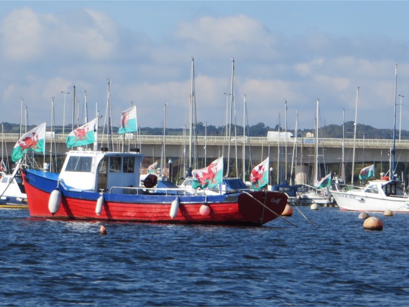 5ED4C9AA-8288-4154-AC93-DFF84174F71B