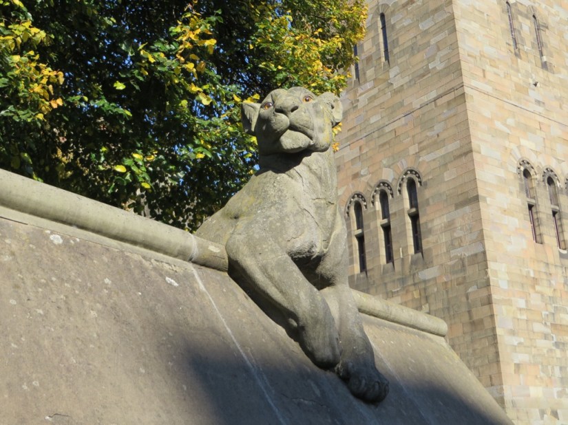 7399EF6D-70CF-416B-9272-B7BA50404BDB