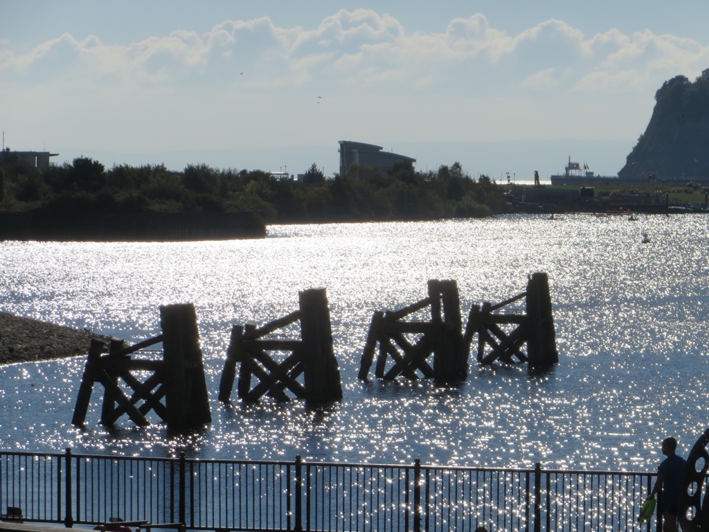 98FC499E-D3ED-4FE9-8872-97E1011B0D2A