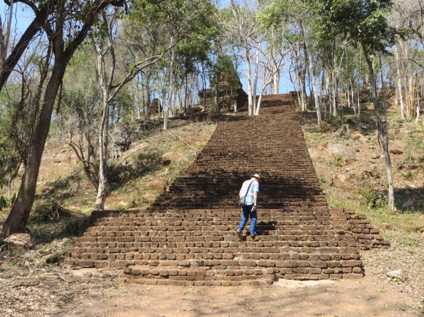 00D0A397-F014-41BA-9B66-3EA368D1CFEA