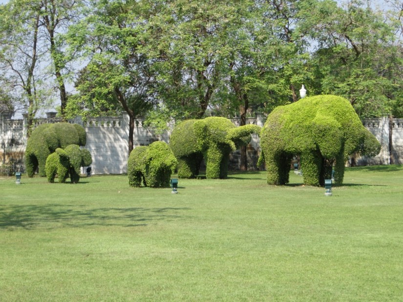 56384411-3621-4417-9667-B811A8F20C6C