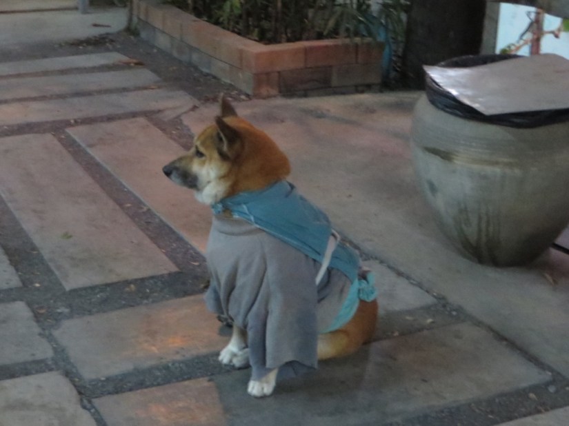 96046F34-70D9-4489-9E8C-D6F6406BD97E