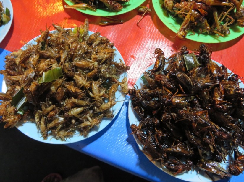 9CA9C8A8-157A-42AD-893F-6743D422765D