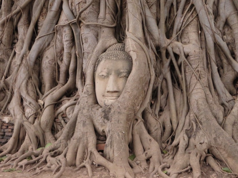 F44A7D8B-A9F9-4AA6-AA4D-0AB9FADC1542