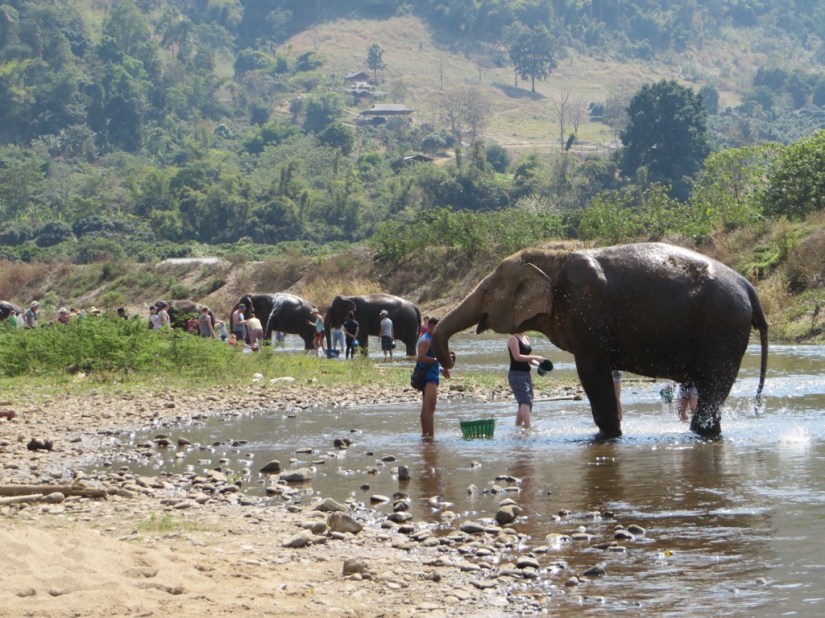 03022FF1-D29D-4F5B-A685-FEE216F2A687