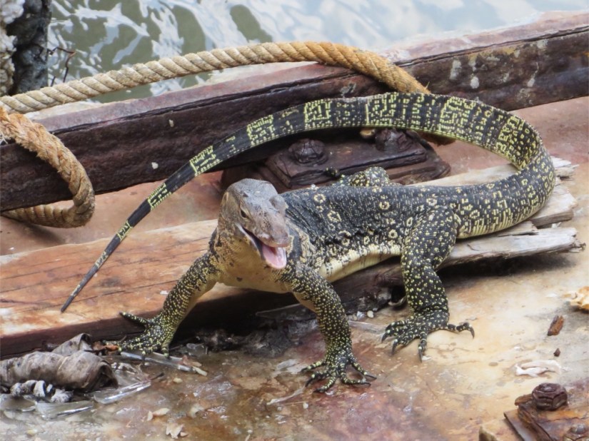 031AA251-B6D1-4765-A1E5-EB502F6DD6F8