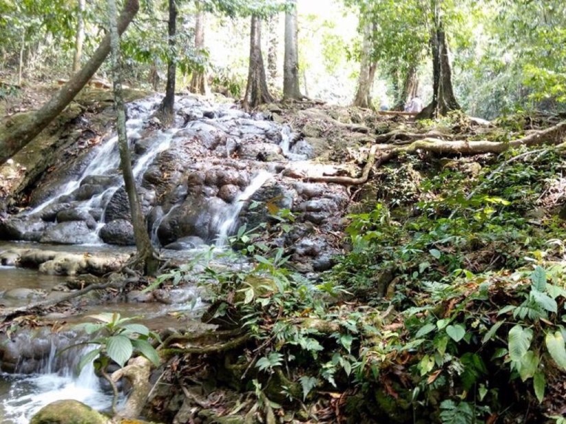 05C4B535-0957-4EBD-BA80-5371C5BEC164