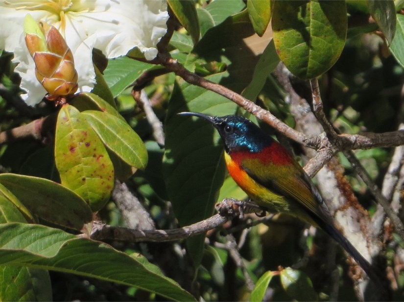 09864EC0-7790-4358-BCE1-C3841573065B