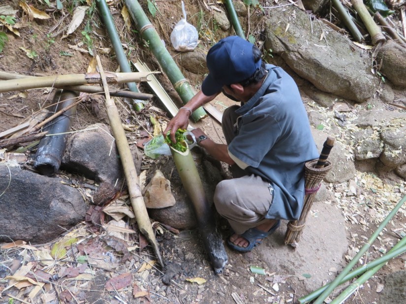 0AB6A6A9-009C-4A13-814A-82F3A0CD3DDC