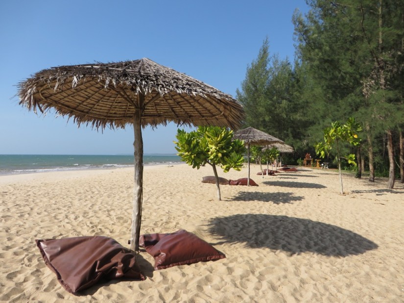 0DB1281E-7DE9-4F3C-A95A-12D4EF8B144E