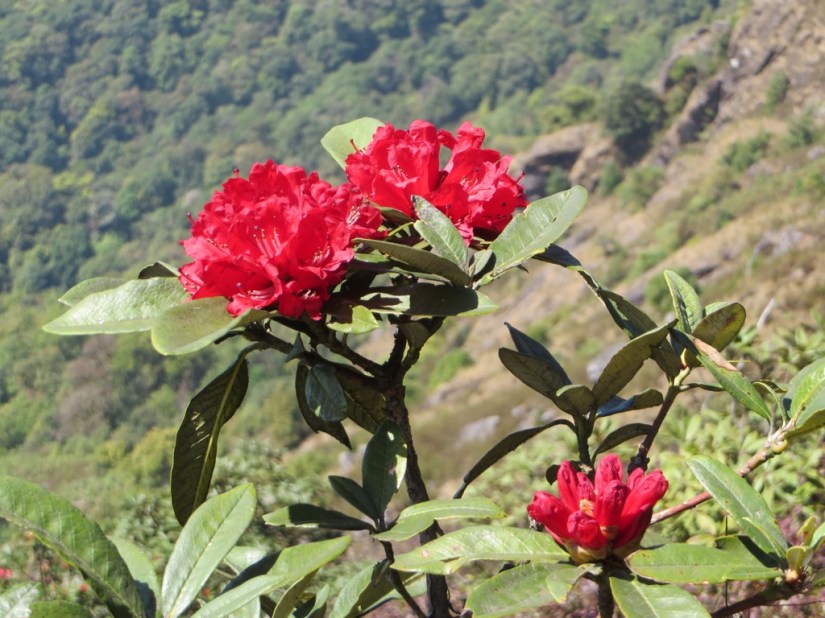 13430246-E5C8-44FC-9652-092AEEE07332