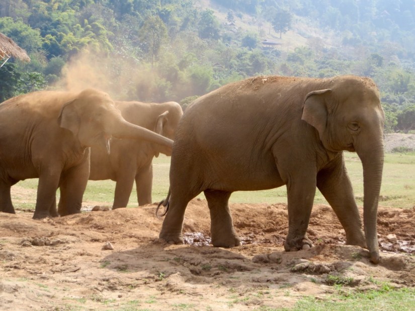 15B74466-CD42-455B-AC8E-2172862F7E7A