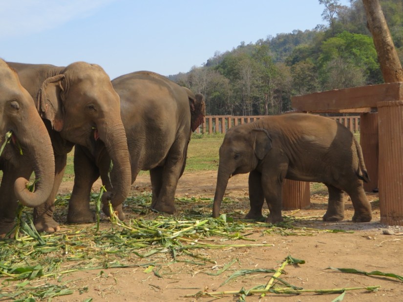 255F0D0B-D777-403E-9640-21B6B789FC10