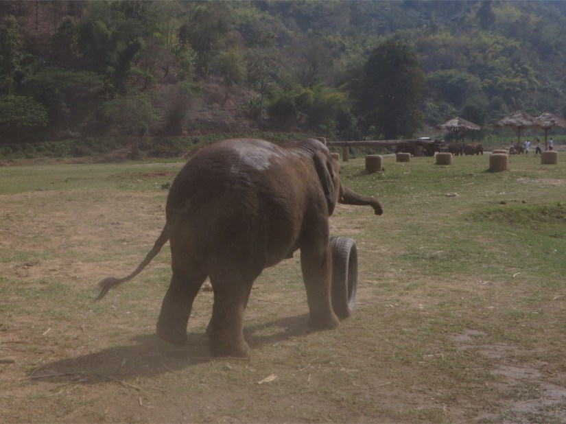 2AE9DF94-68B4-4EE2-B752-BAA10B4856CC