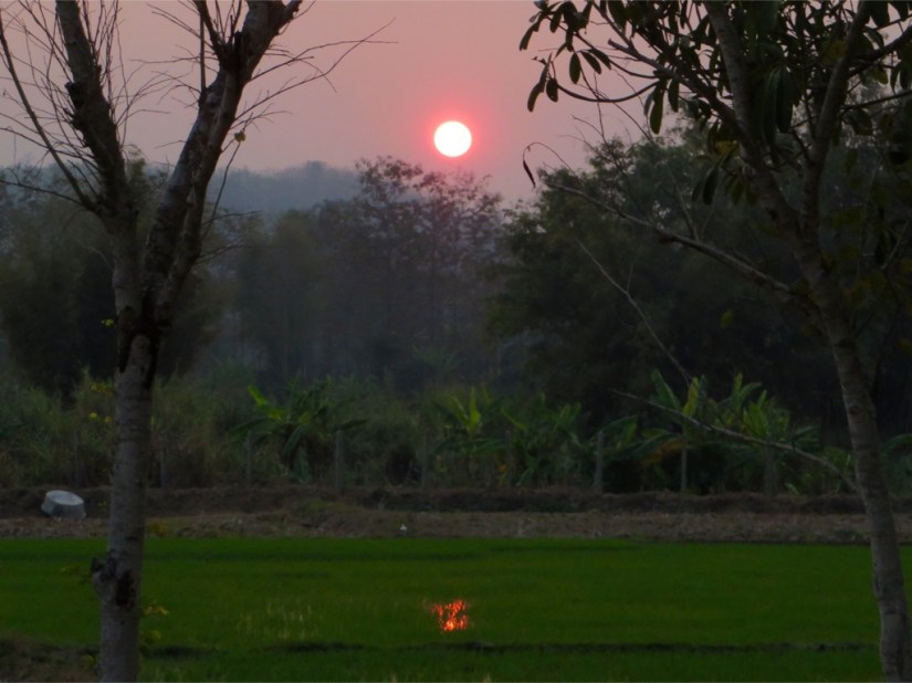 2E39F050-F4BB-4DC1-BB8D-9E73960C8CB6