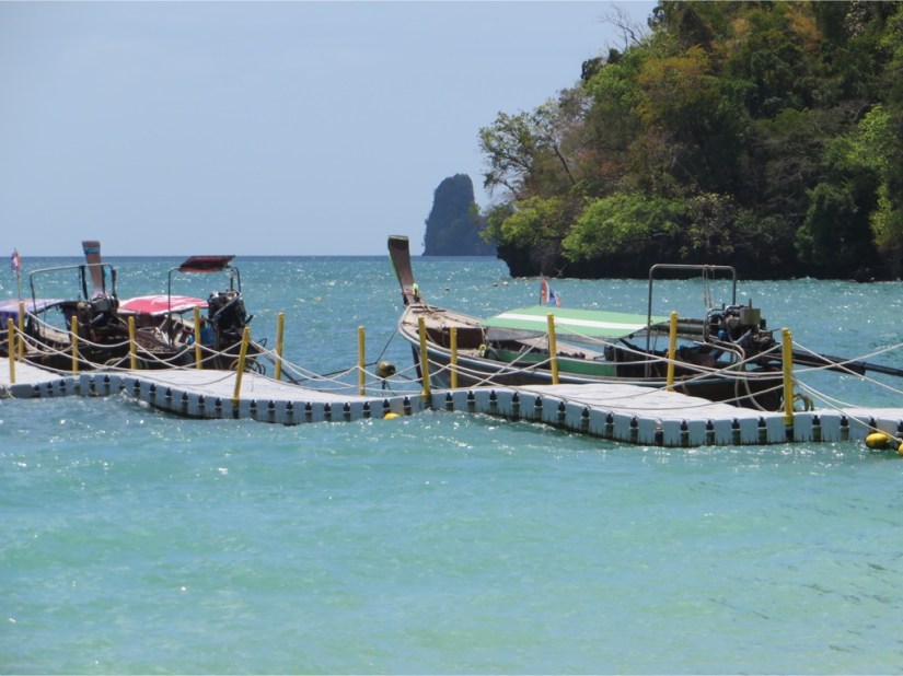 310D5EFF-0254-4C2C-94A0-5E515ACC81BD