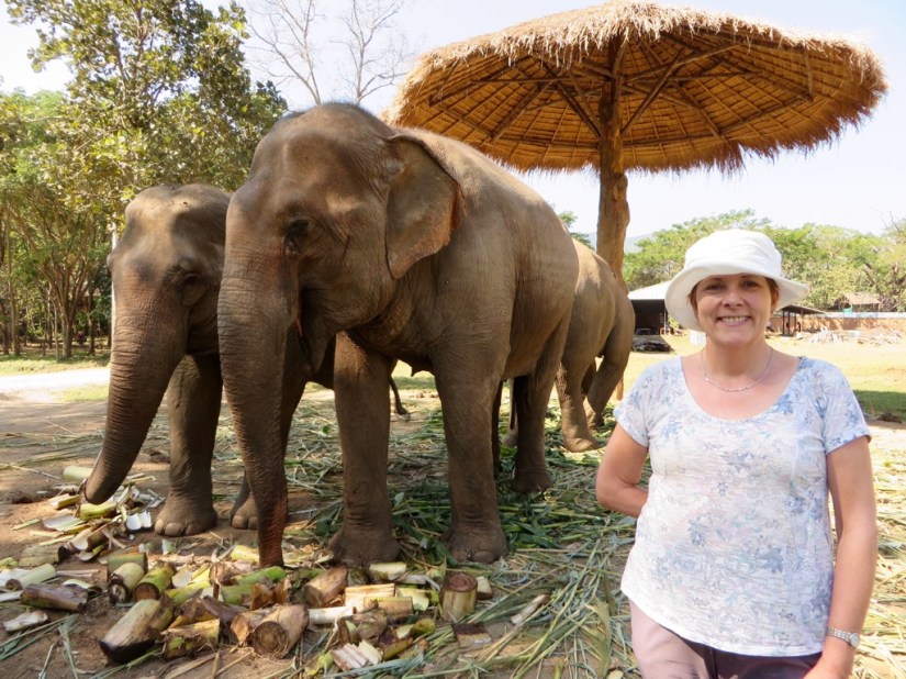 352FE410-8A64-4A43-A720-488E6CD89591