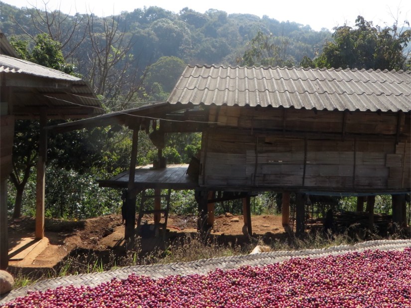 415D4465-4CEF-4E13-B884-2A7C21D464A4