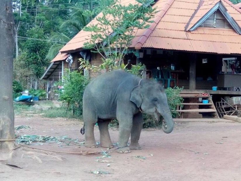 4234898B-92D3-4AAA-99C7-6D6FB8451AC0