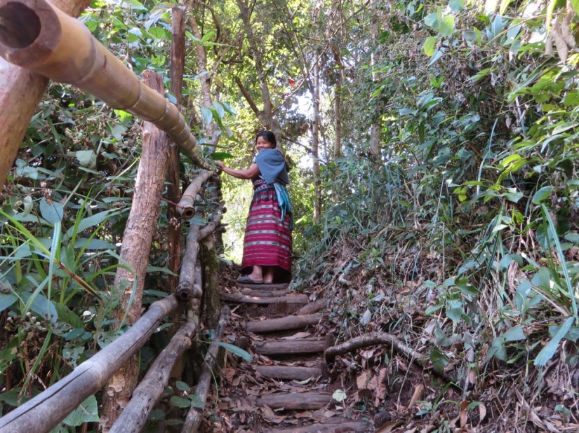 431BEFEB-EBCC-43F9-9E0F-B4D9BE4F1358