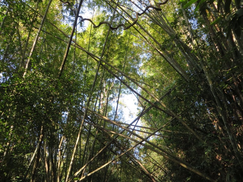 43944441-EF7F-4126-BAC3-6998D740ECF4