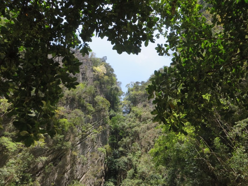 475D7CCF-EE48-49BB-A197-C5C3E8B36340