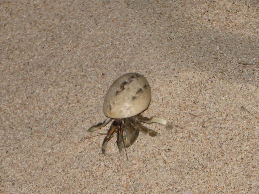 4D3049C9-F5BD-4A64-B076-D639985E2539