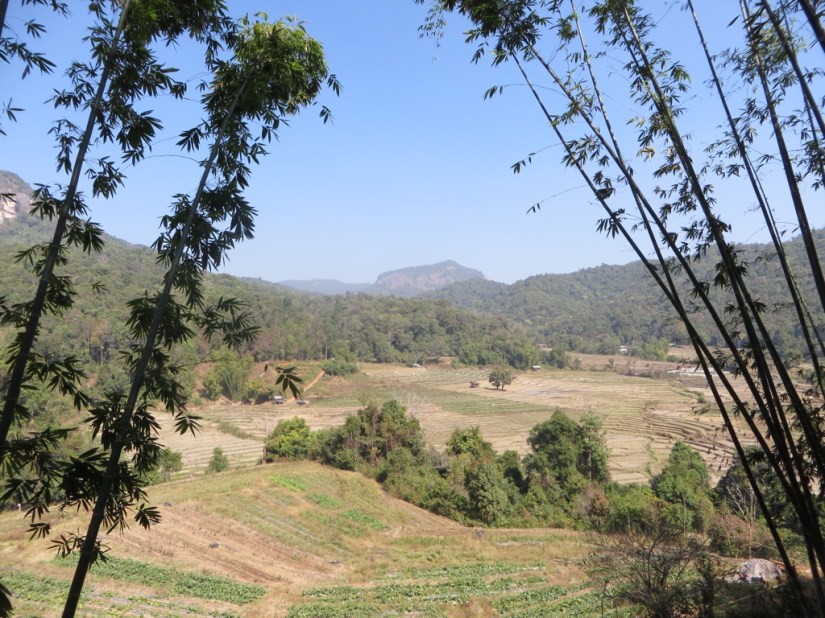 4F72CBBB-3A1A-410E-B33A-803C1E7C044A