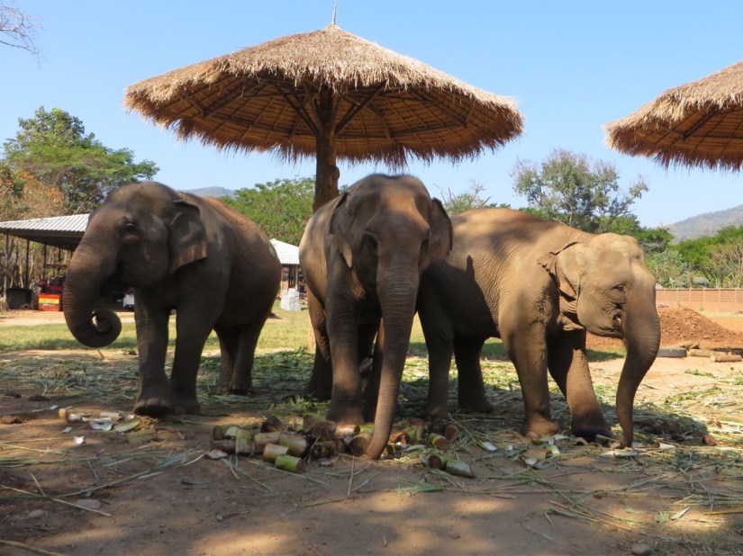 5629573F-9AF2-4FD8-86B3-B374F8D3C32F