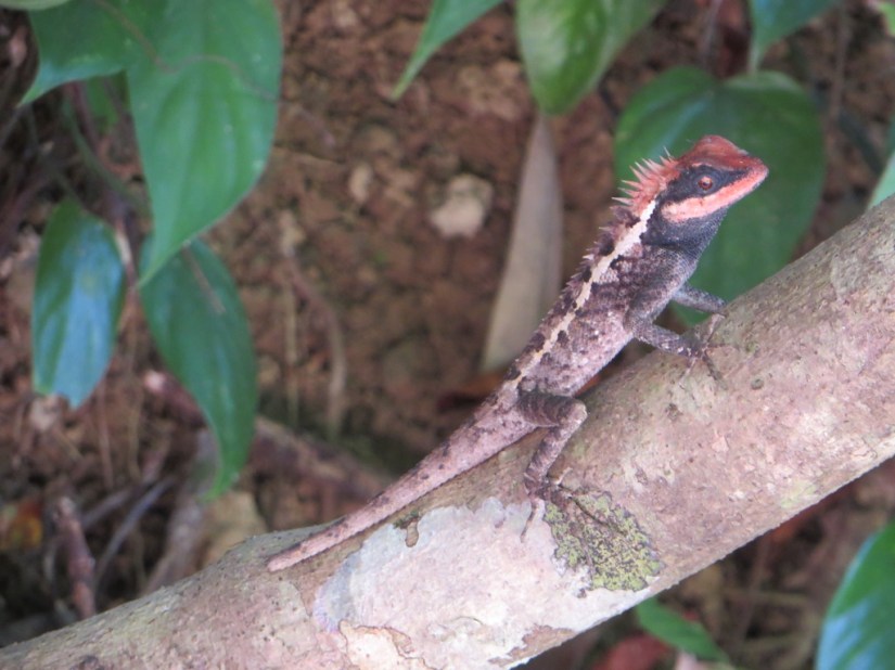 5B65F3C6-84B1-4EB8-9ABE-B027CB4DB04B