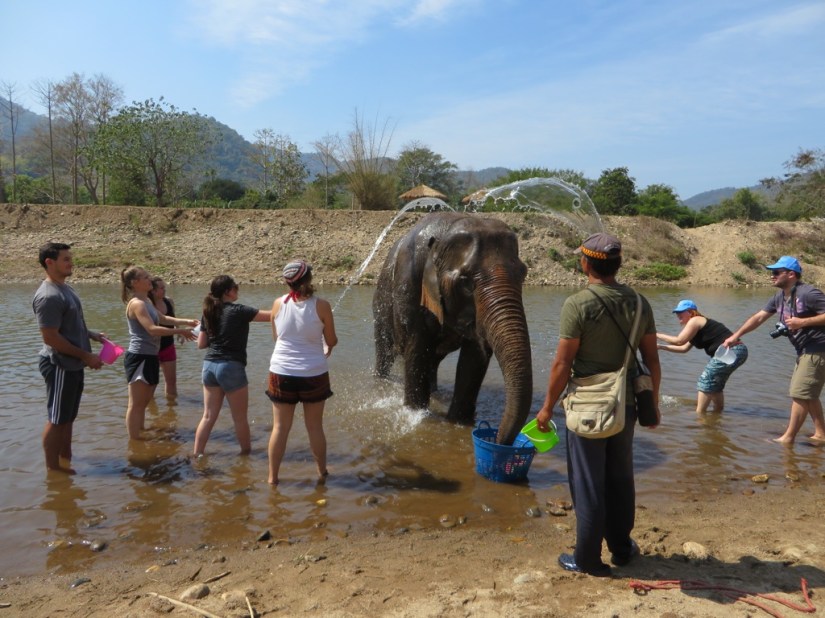 5E165233-5FD0-4896-8C9F-4C313A39ADDC