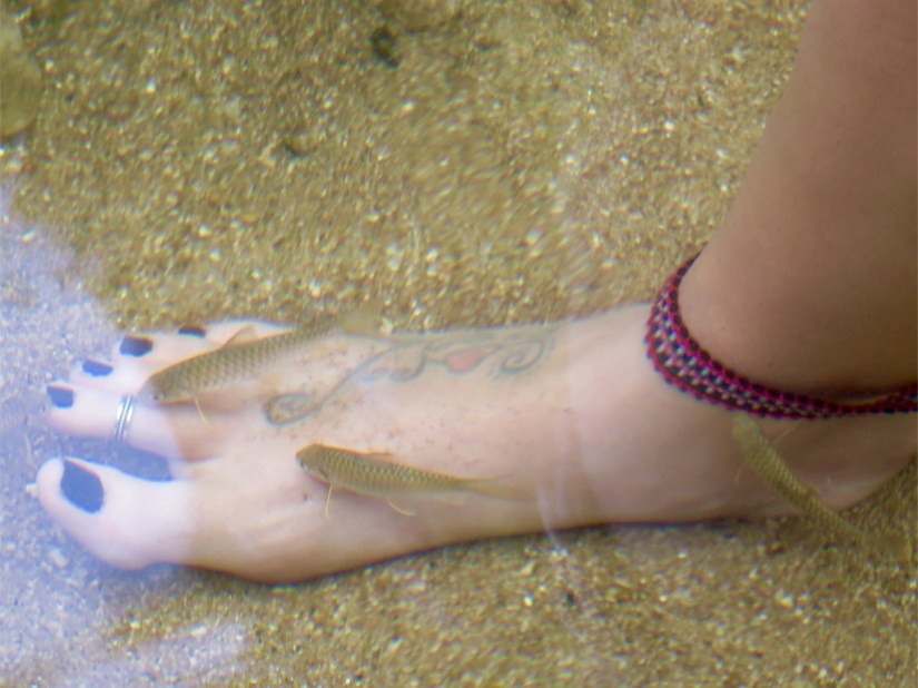 65F0010C-FF68-4094-A83D-7B29A1D000F1