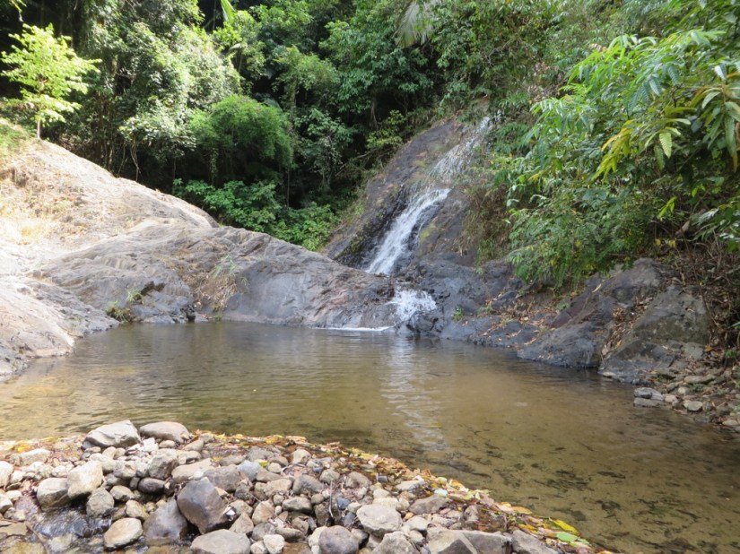 6D99FEF3-A4EC-4F1B-8EA0-DD31BBBBB5BD