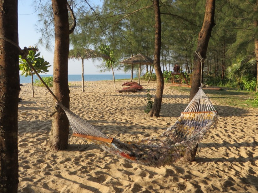 7503E7A2-69BD-4C2C-B7C9-0C9221366148