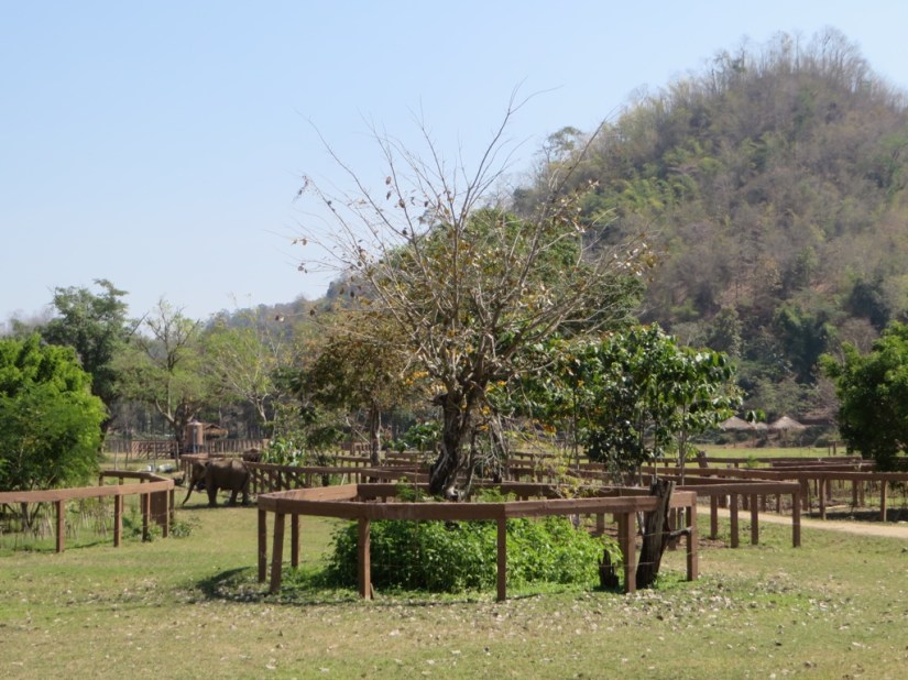 7535EC63-BFB9-4B53-82D8-6AF6263EC8BF