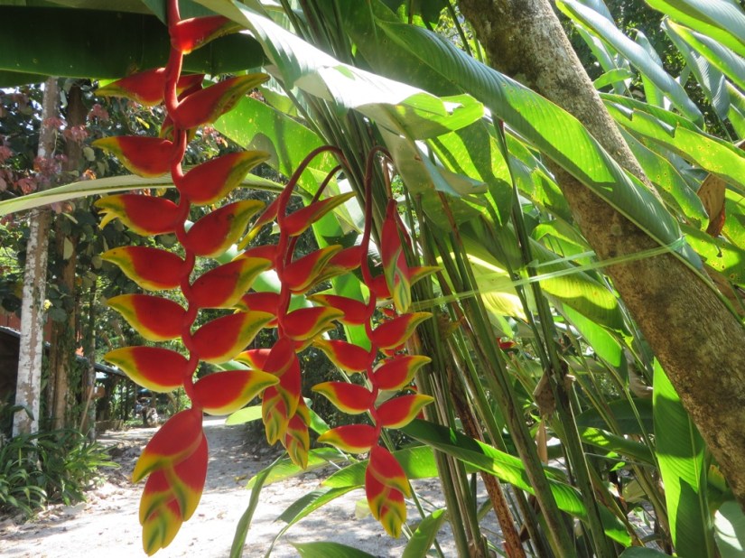 7648A1AF-BF46-46B5-9F6F-D196C982D8FE