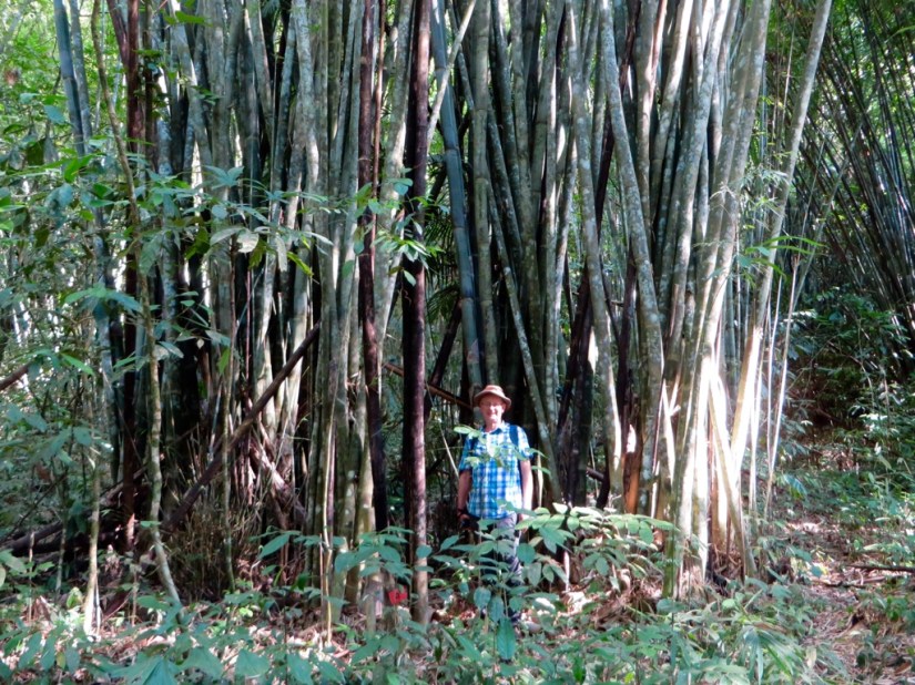 7737410C-CD6B-487E-B9E9-D32AB9D98FCC