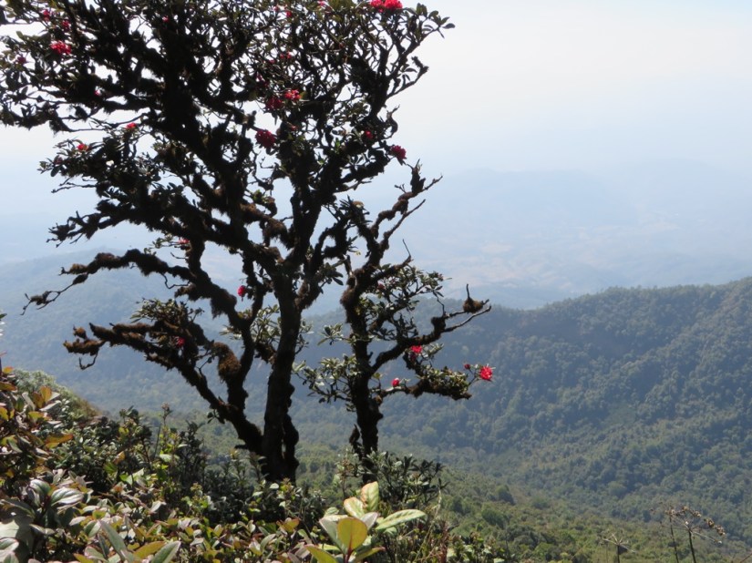 7E27A872-069F-4E57-91BB-DE5E4EF0278E