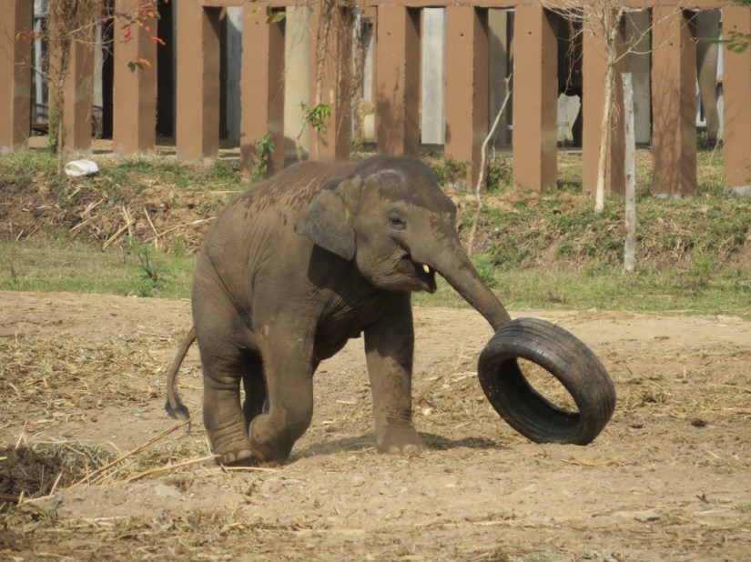 8FD6CCA9-0475-4426-8EE3-D629C190A1D4