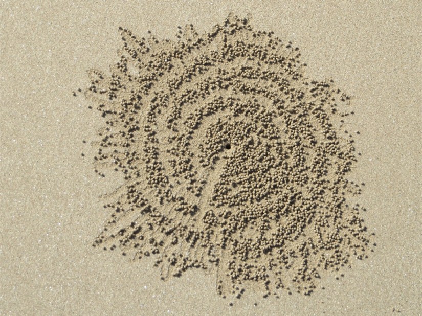 9A1297D8-A046-47E5-8AE5-9A5B084363D4